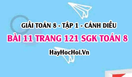 Giải bài 11 trang 121 Toán 8 Tập 1 SGK Cánh Diều